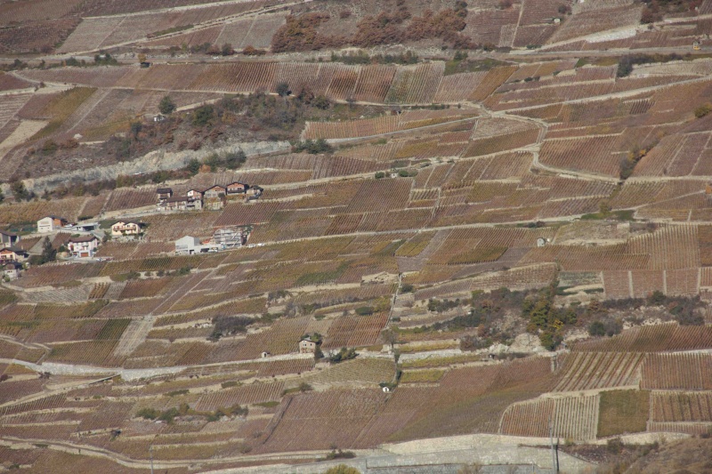 vigne-chalets-valais