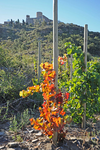 roussillon