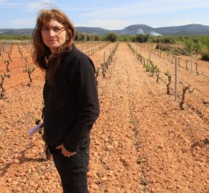 Il y a du vent dans ce pays, on dirait ma Provence natale