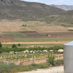 De la vigne, des collines, c'est beau cette région