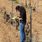 Alors, je disais 18X3 sur 45 rangs. Moderne la machine européenne