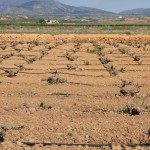 Tient, ils sont bien bas ces gobelets... et c'est quoi ce tuyau au milieu..