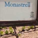 parmi 25 cépages en expérimentation, 3 sont espagnols