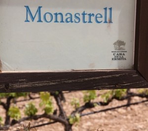 parmi 25 cépages en expérimentation, 3 sont espagnols