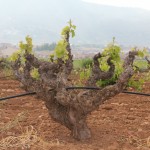 T'as pas l'air malin avec ce tuyau...