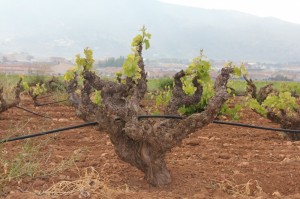 T'as pas l'air malin avec ce tuyau...