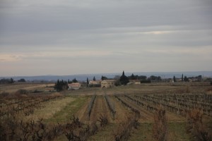 vignesoleilcouchantvacqueyras